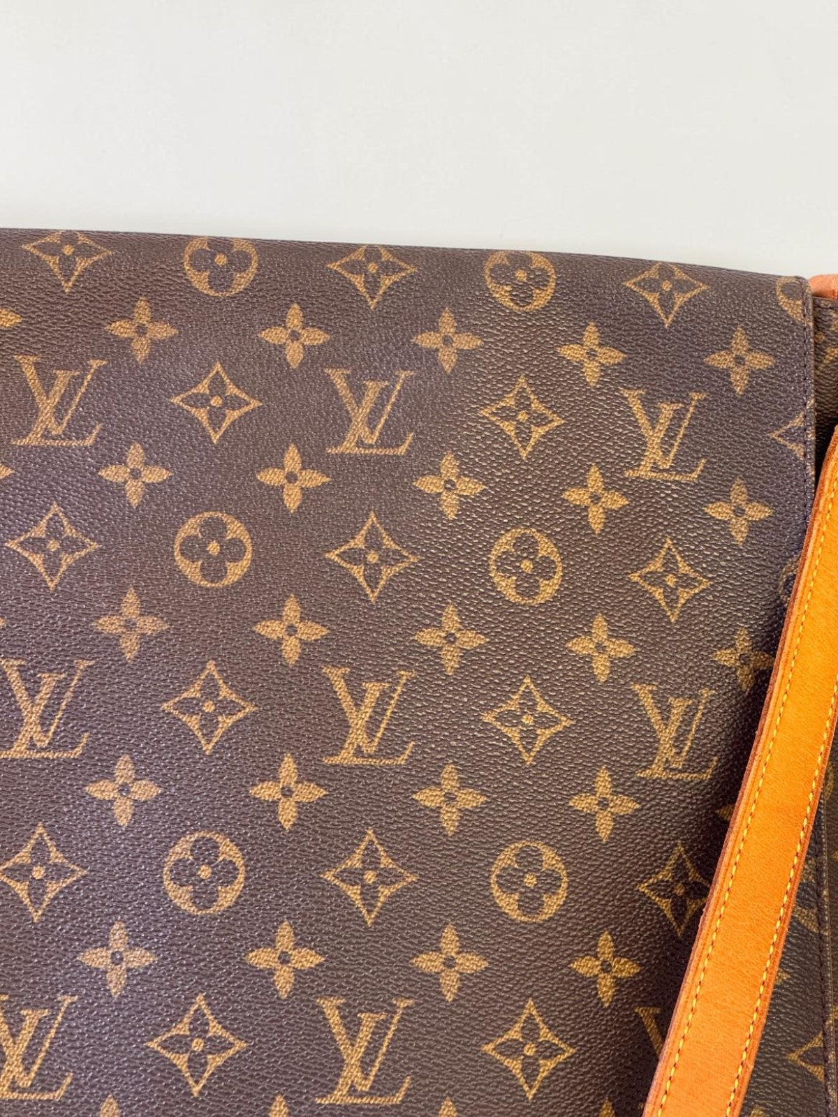 Canvas Close-up — view 5